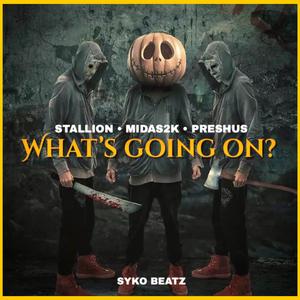 What's going on? (feat. Stallion & Preshus)