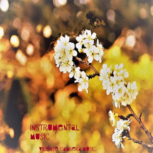 Recuerdos (a Mi Madre)