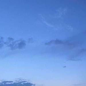 我们每个人都很虚伪