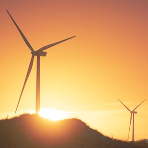 Cassino, Sol e Chimarrão