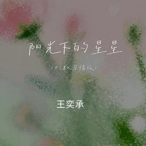 阳光下的星星 (0.8x版)