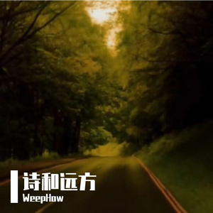 诗和远方