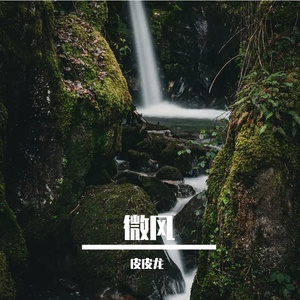 微风-整曲