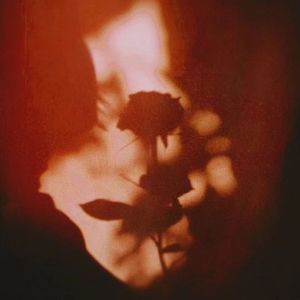 红酒玫瑰糖块玻璃-430