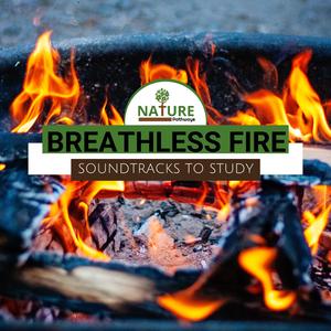 Jungle Afternoon Ambience