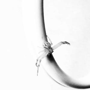 What I've Been Waiting For