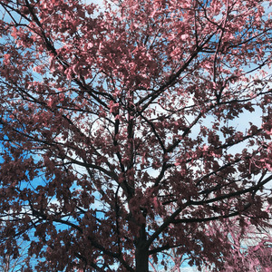 heal (former hero edit)