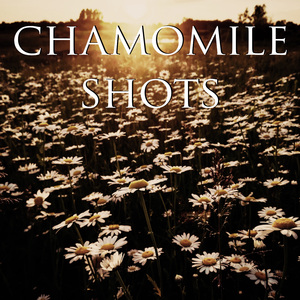 Chamomile shots