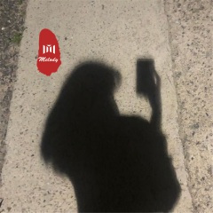 动听旋律 (DJ版)