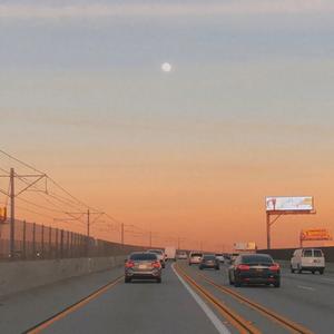 田野的虫鸣声（婴儿早教音乐）