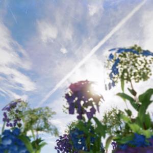 天晴时（纯音乐）