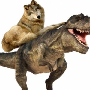 恐龙扛狼扛狼扛