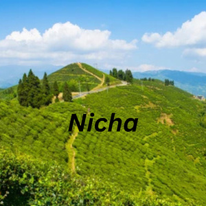 Nicha