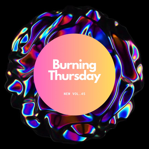 US investment projeza