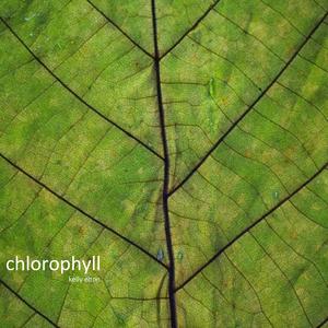 chlorophyll