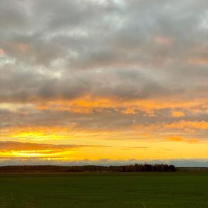 Morgonsol