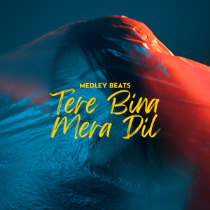 Tere Bina Mera Dil