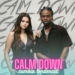 Calm Down (Remix)