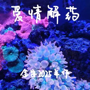 时间解药–念安