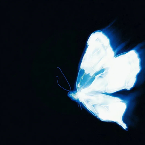 Star Crossing Night（女生版）