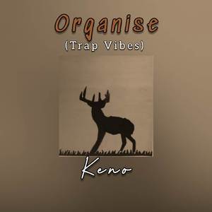 Organise (Trap Vibes)