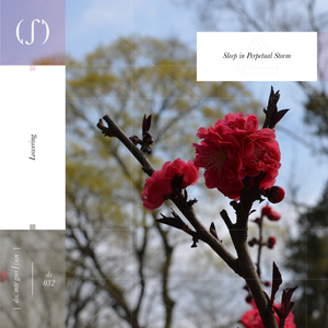 Derecho (Original Mix)