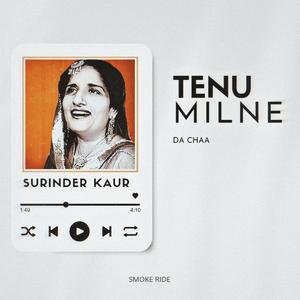 Tenu Milne Da Chaa (Remix)