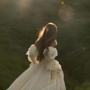 Golden Brown x Love Story (Orchestral Version)