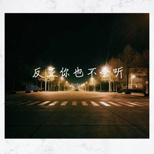 反正你也不会听