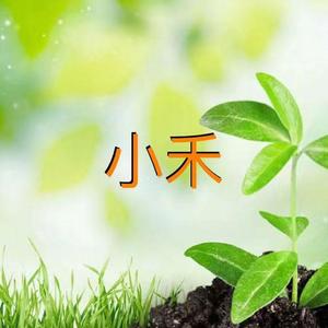 小禾
