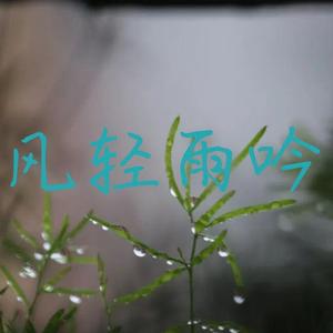 风轻雨吟