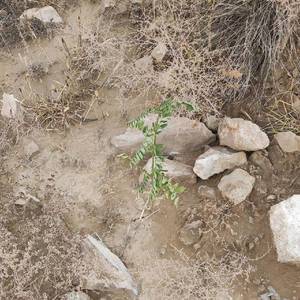 44 四个月(Prod.by Bond TAO)