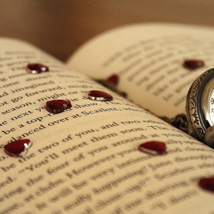 【怀岁之优】一封情书