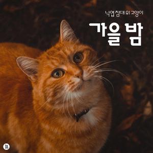 낙엽에 숨은 낮잠 다람쥐와 도토리