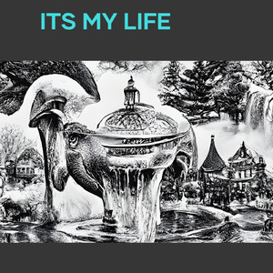 ITS MY LIFE