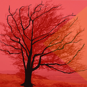 Embers in September (feat. Olivia Zulke)