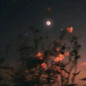 My moonlight