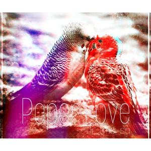 Paper Love