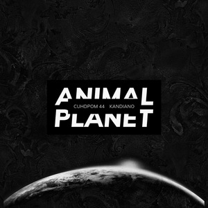 Animal Planet