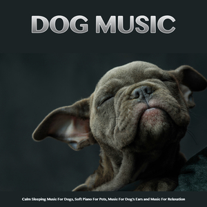 Dog Music