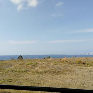 很多人都像我一样（demo）