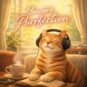 Midnight Kitty Session