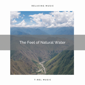 Flowing Brook Sounds for Relax
