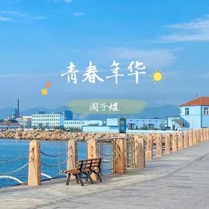 左半边翅膀一起来看流星雨电视剧插曲