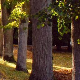 最近你还好吗 伴奏