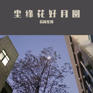 尘缘花好月圆