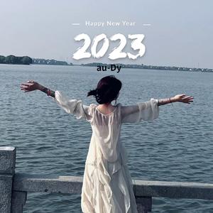 奢香夫人DJ-0.95x