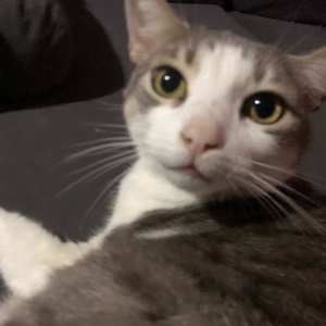 Y MI SONRISA DONDE ESTA?