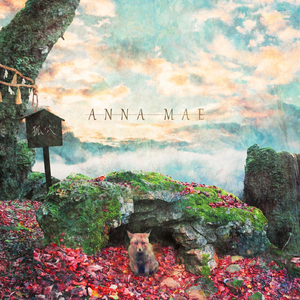 I Only Passed Math Class