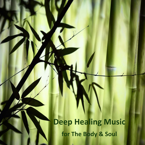 치유의 숲 (숲속 바람 소리)